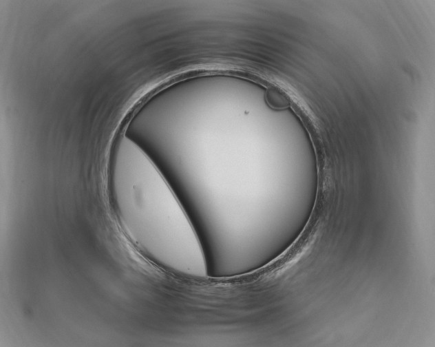 X0000112010837200908031020