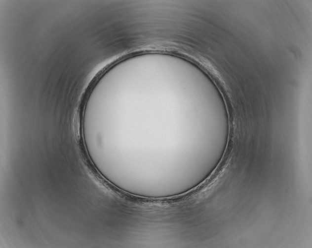 X0000112010838200908031020