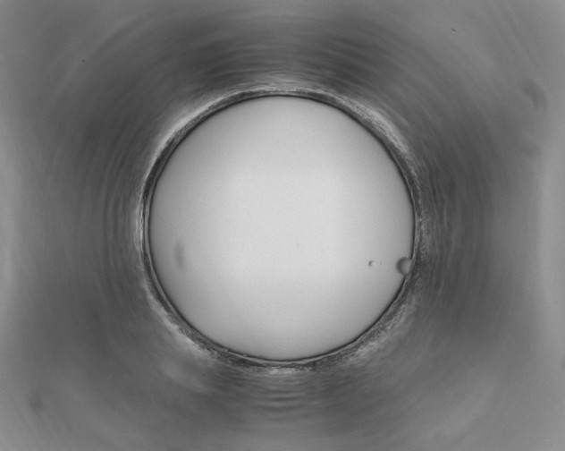 X0000112010839200908031020