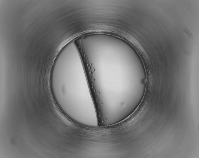 X0000112010842200908031020