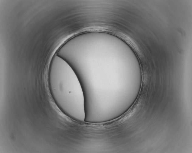 X0000112010844200908031020