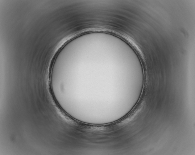 X0000112010845200908031020