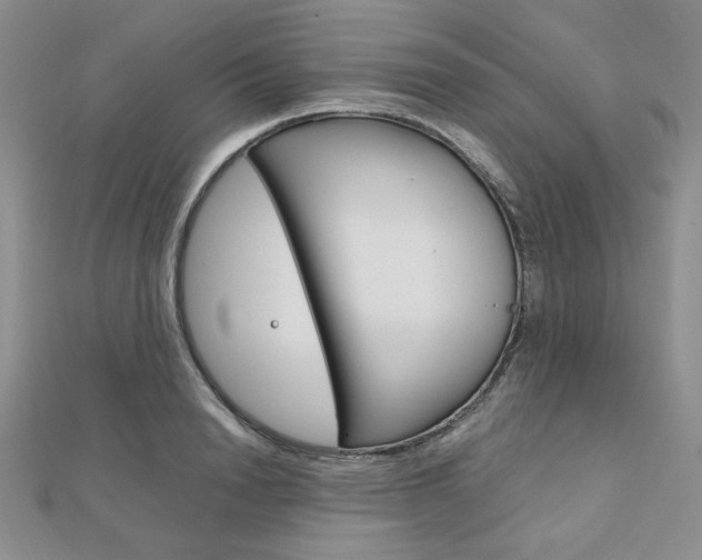 X0000112010846200908031020