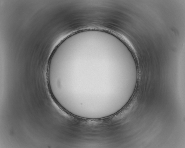 X0000112010847200908031020
