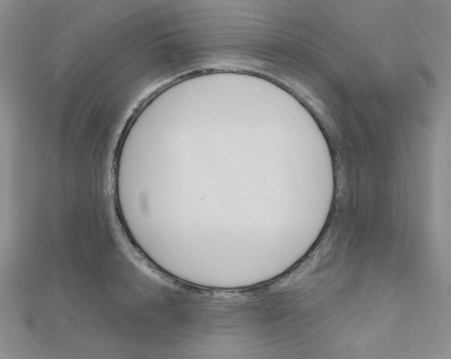 X0000112010848200908031020
