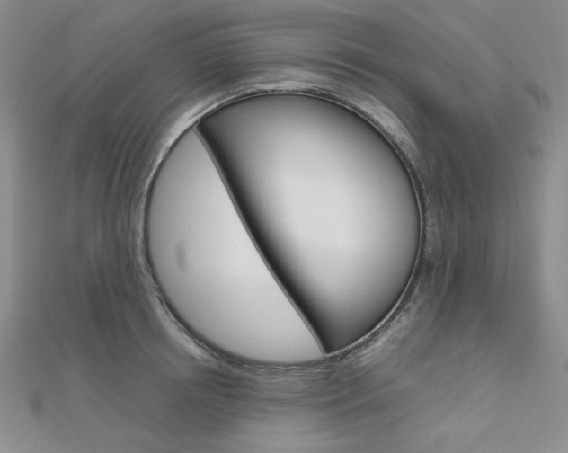 X0000112010850200908031020