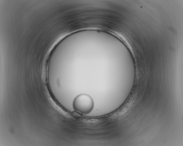 X0000112010851200908031020