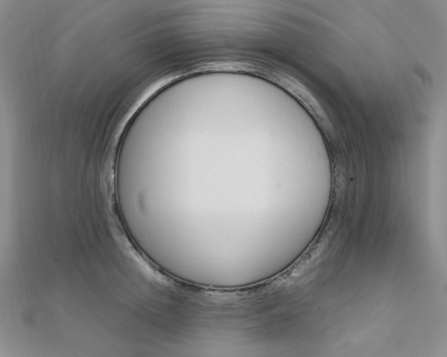 X0000112010852200908031020