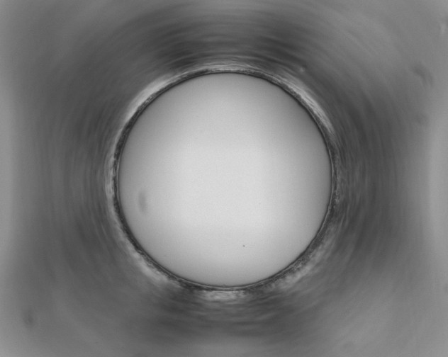 X0000112010853200908031020