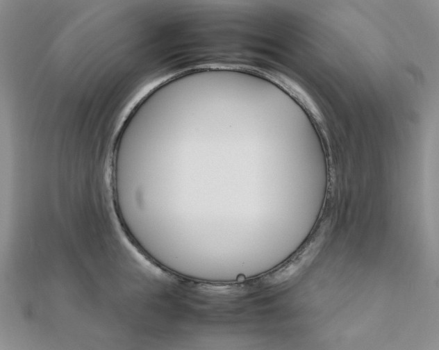X0000112010855200908031020