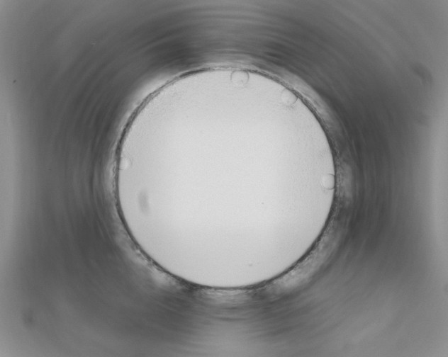 X0000112010856200908031020