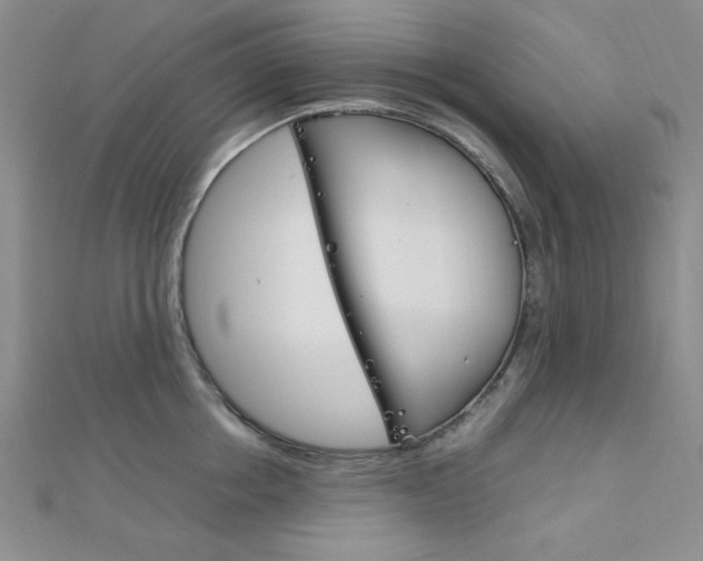 X0000112010858200908031020