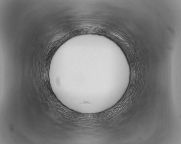 X0000112010869200908031019