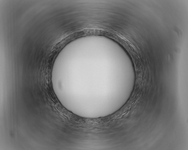 X0000112010870200908031019