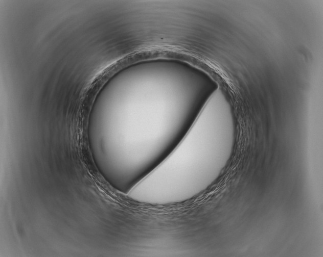 X0000112010872200908031019