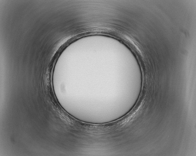 X0000112010875200908031019