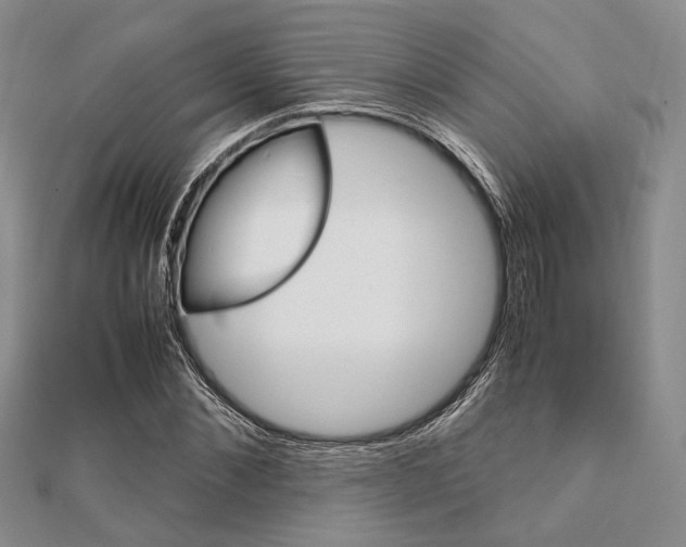 X0000112010876200908031019
