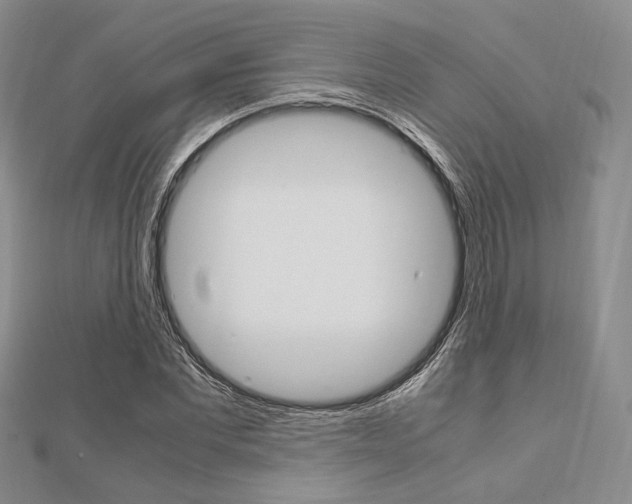 X0000112010877200908031019