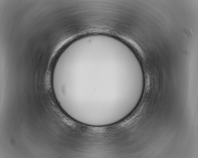 X0000112010878200908031019