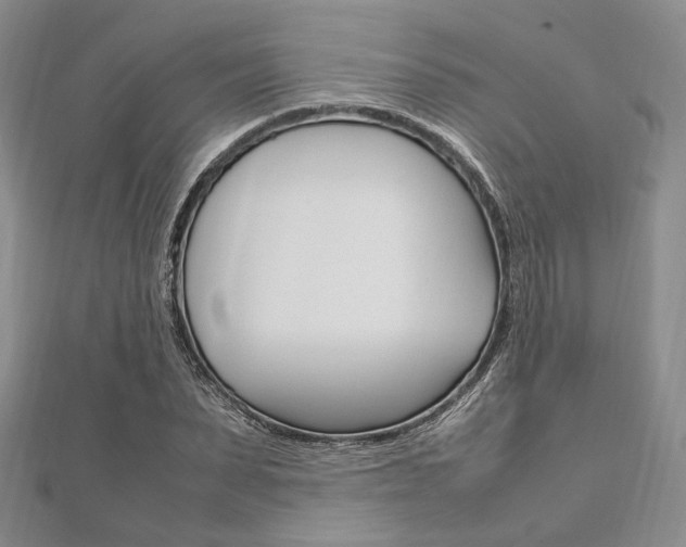 X0000112010879200908031019