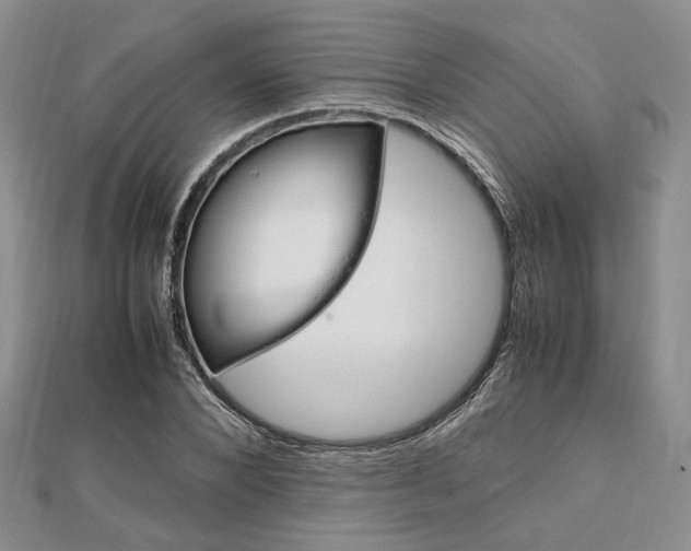 X0000112010880200908031019