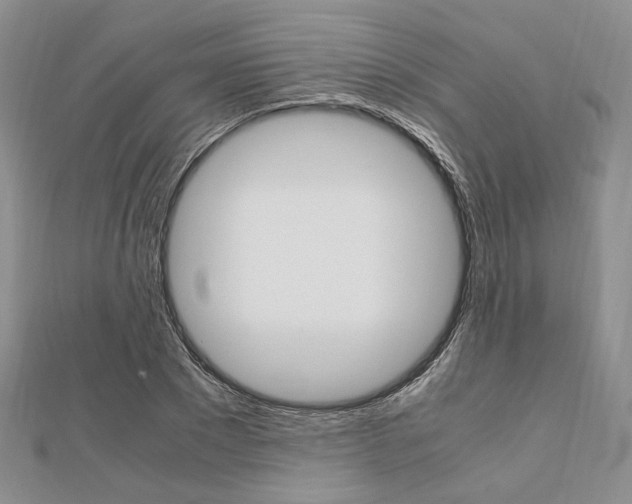 X0000112010881200908031019