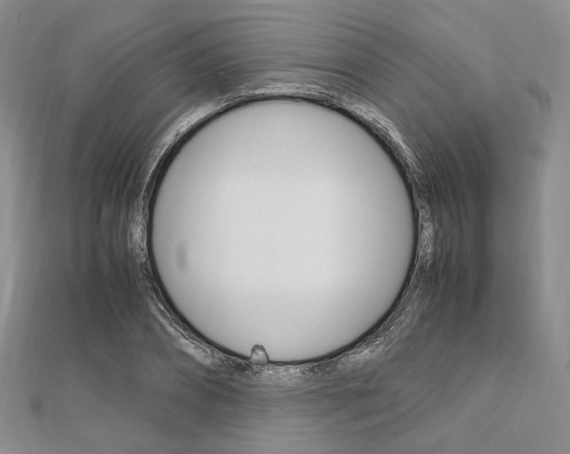 X0000112010882200908031019