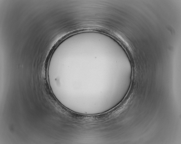 X0000112010883200908031019