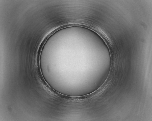 X0000112010884200908031019