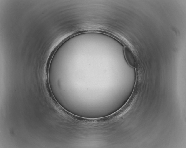 X0000112010885200908031019