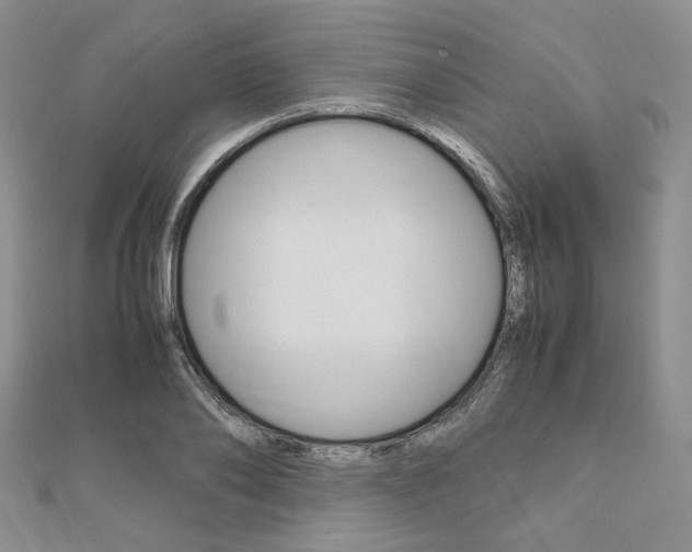 X0000112010886200908031019