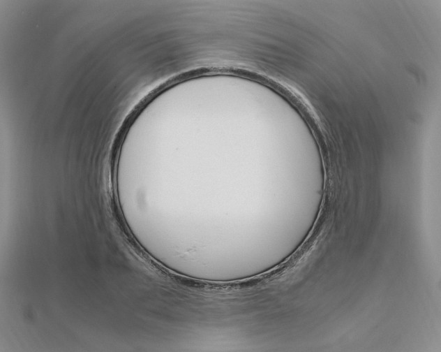 X0000112010887200908031019