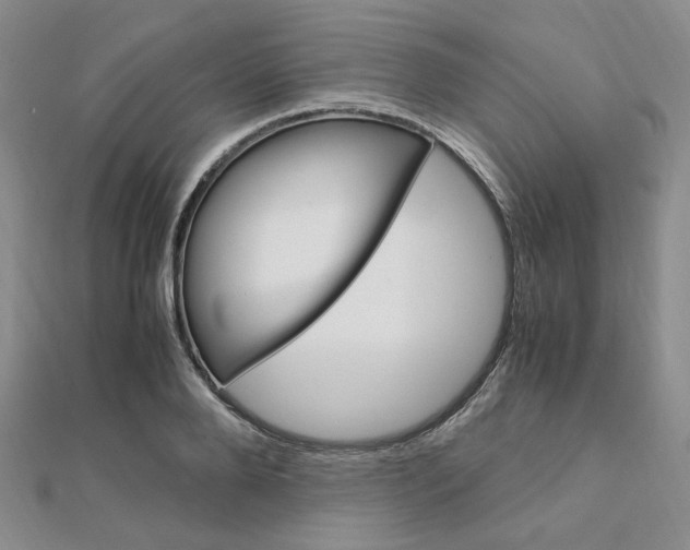 X0000112010888200908031019