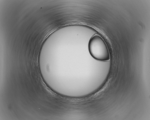 X0000112010889200908031019