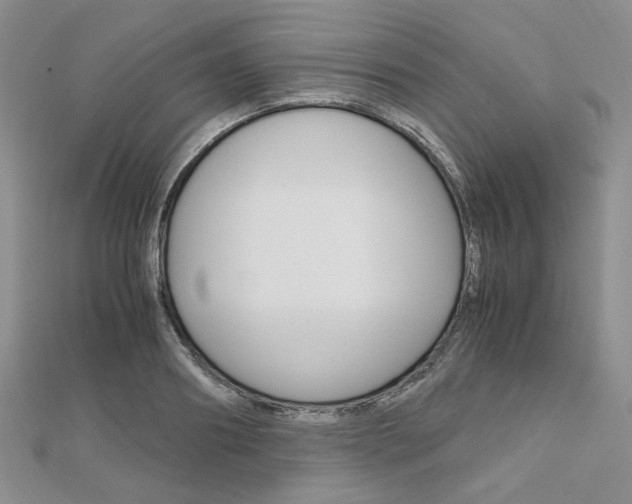 X0000112010890200908031019