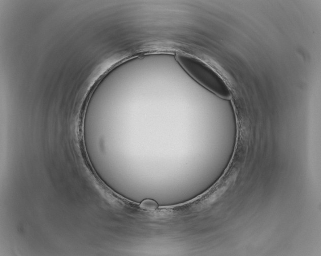 X0000112010893200908031019