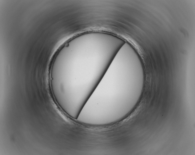 X0000112010894200908031019