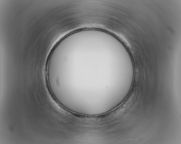 X0000112010895200908031019