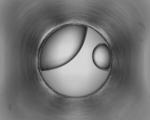 X0000112010896200908031019