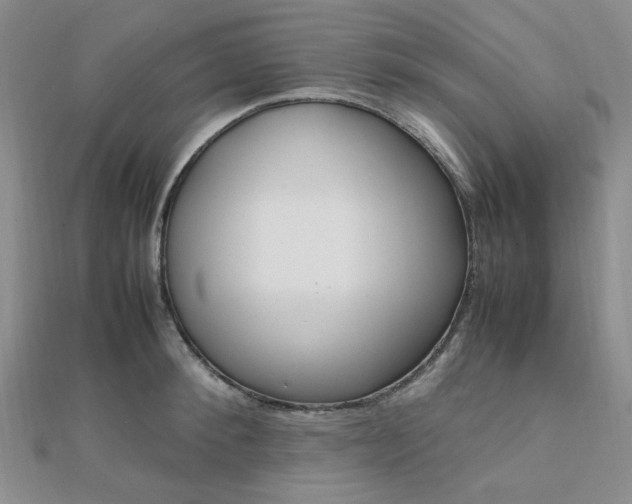 X0000112010900200908031019