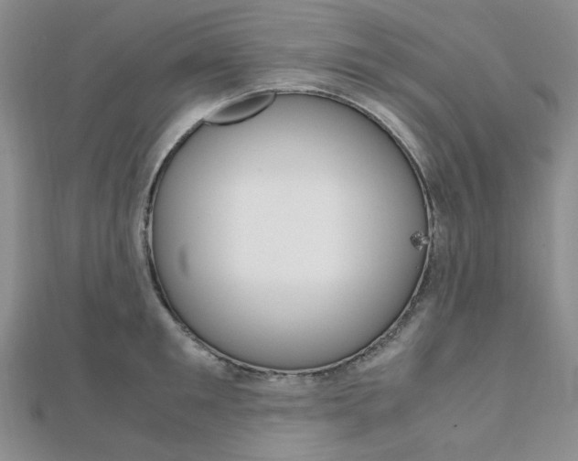 X0000112010901200908031019