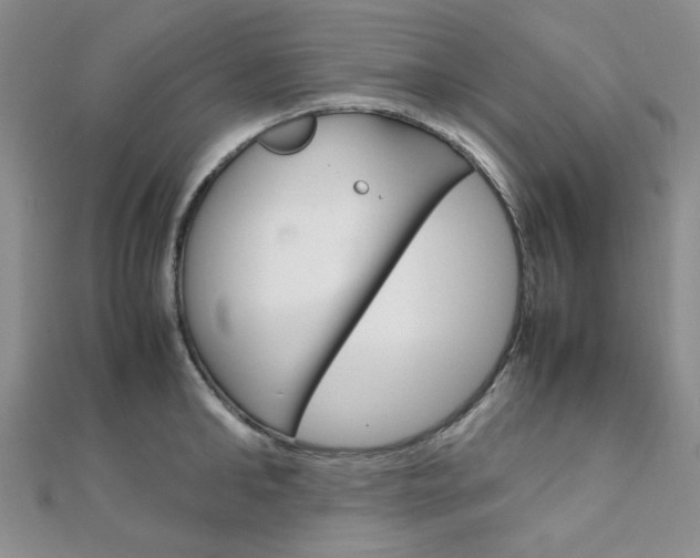 X0000112010902200908031019