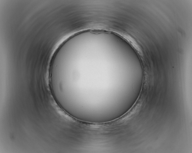 X0000112010904200908031019