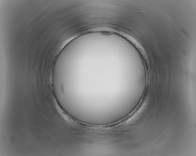 X0000112010905200908031019