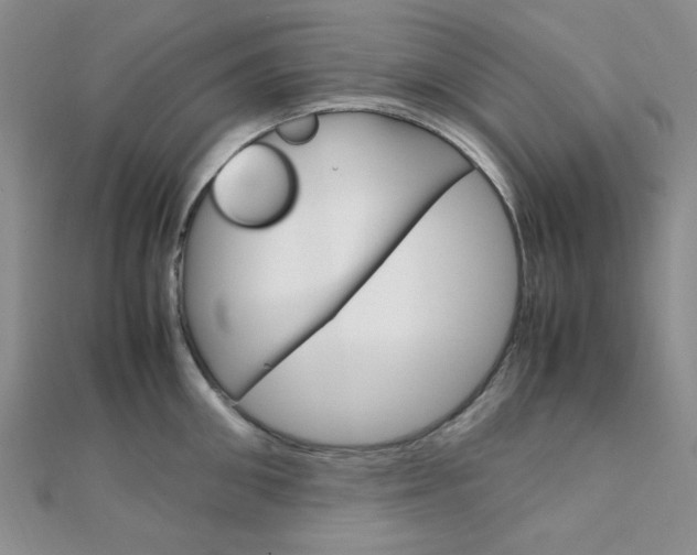 X0000112010906200908031019