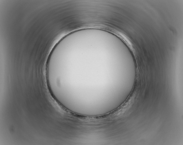 X0000112010907200908031019