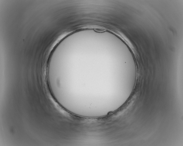 X0000112010909200908031019