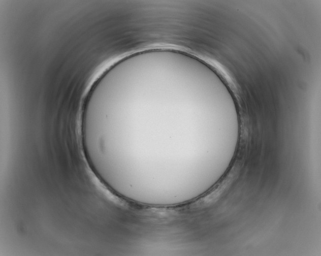 X0000112010910200908031019