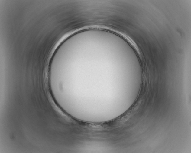 X0000112010911200908031019