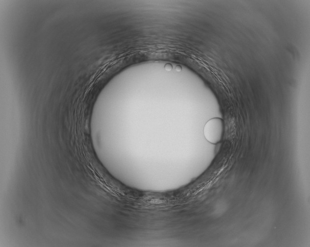 X0000112010913200908031018